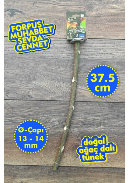 Venty 37.5 cm Doğal Papağan Tüneği | Dal Tünek | Muhabbet, Forpus, Sevda, Cennet, Kakariki - T534