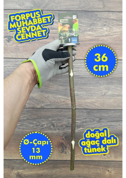 Venty 36 cm Doğal Papağan Tüneği | Dal Tünek | Muhabbet, Forpus, Sevda ve Cennet İçin İdeal Seçim - T520
