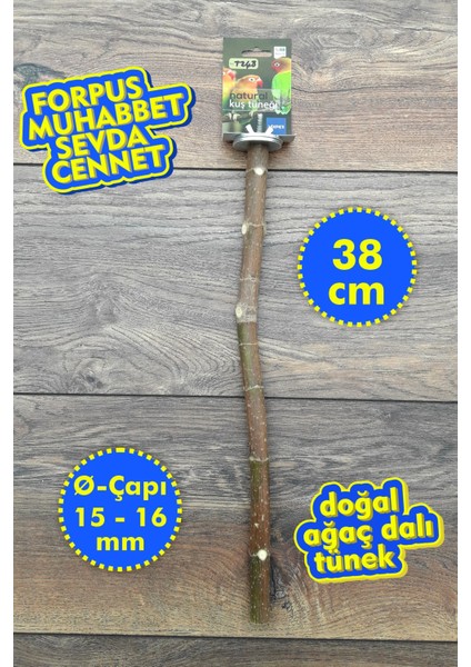 Venty 36.5 cm Doğal Papağan Tüneği | Dal Tünek | Muhabbet, Forpus, Sevda, Cennet Papağanları İçin İdeal Seçim - T600