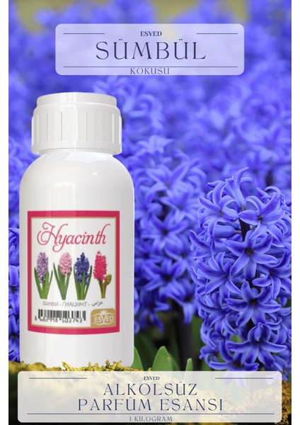 Sümbül Kokusu Toptan Parfüm Esansı 1 Kilogram