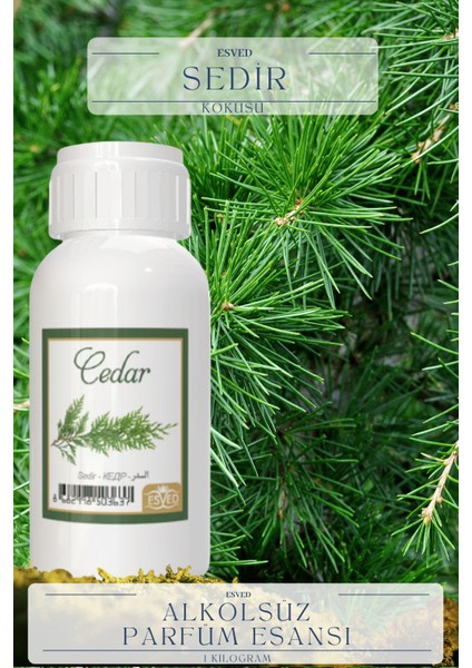 Sedir Kokusu Toptan Parfüm Esansı 1 Kilogram
