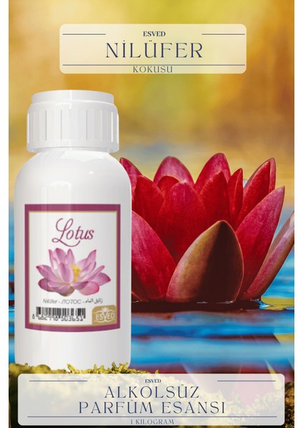 Nilüfer Kokusu Toptan Parfüm Esansı 1 Kilogram