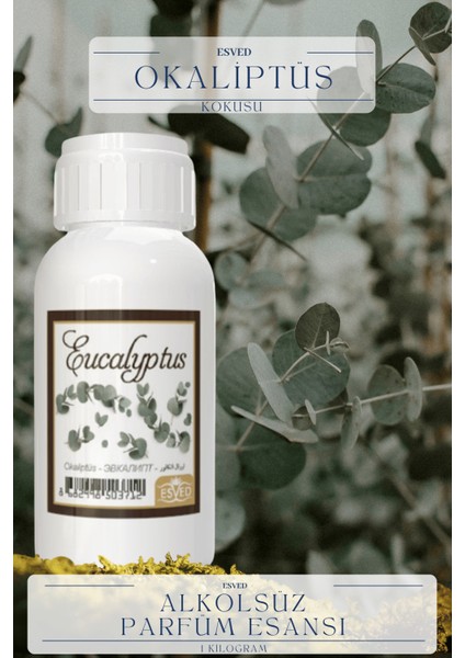Okaliptus Kokusu Toptan Parfüm Esansı 1 Kilogram