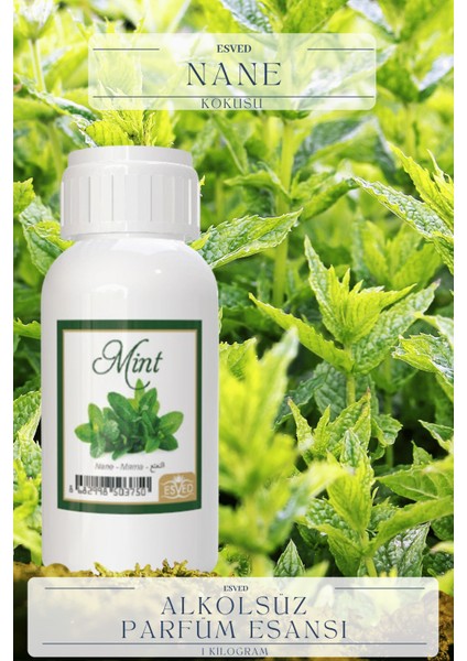 Nane Kokusu Toptan Parfüm Esansı 1 Kilogram