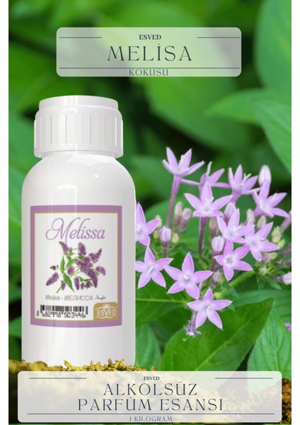 Melisa Kokusu Toptan Parfüm Esansı 1 Kilogram