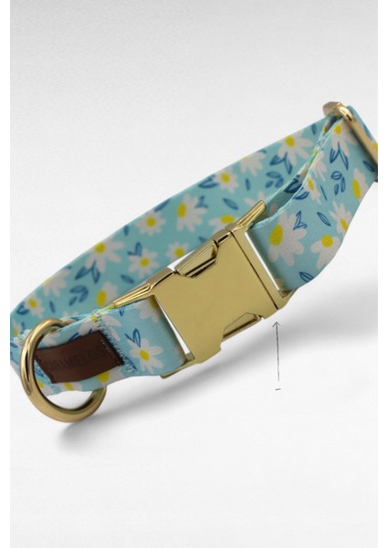 Isimli Köpek Tasması, Köpek Künyesi, Köpek Isimlik, Büyük Irk Tasma, Metal Kilitli Tasma4