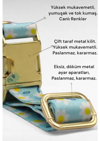 Isimli Köpek Tasması, Köpek Künyesi, Köpek Isimlik, Büyük Irk Tasma, Metal Kilitli Tasma4 modelleri