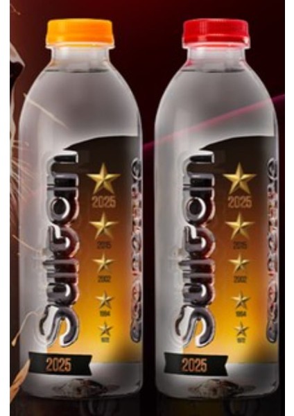 Bedbox Galatasaray Temalı Doğal Kaynak Suyu 400 ml 2'li Paket