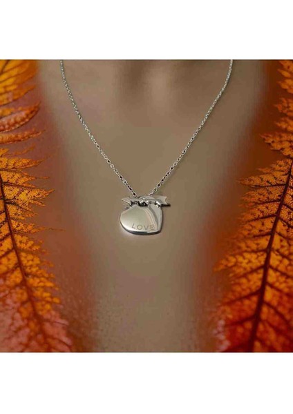 Kalp Ok Detaylı Çelik Kolye