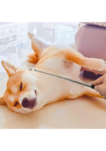 Sırt Kaşıyıcı - Telekopik 56 cm Sırt Kaşıma Aparatı Hanımeli 2 Li Set 721960 indirimleri