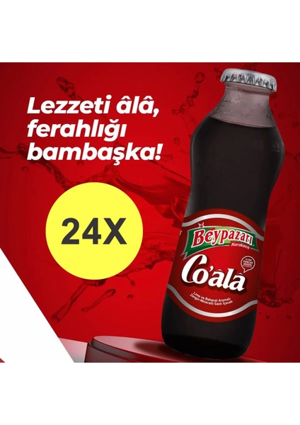 Co Ala Lime ve Baharat Aromalı Maden Suyu 200 ml x 24 Adet