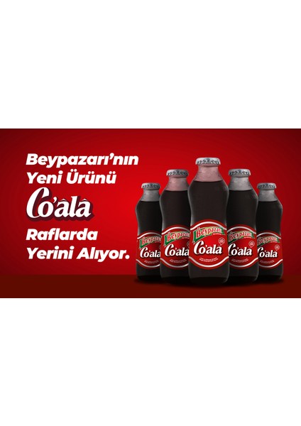 Co Ala Lime ve Baharat Aromalı Maden Suyu 200 ml x 24 Adet