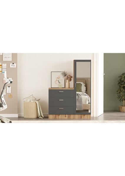 Oswin Aynalı Şifonyer Gardırop Çam-Antrasit Osw6-Aa modelleri