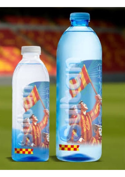 Su Göztepe Temalı Lisanslı Doğalkaynak Suyu 400 ml 24'lü Paket