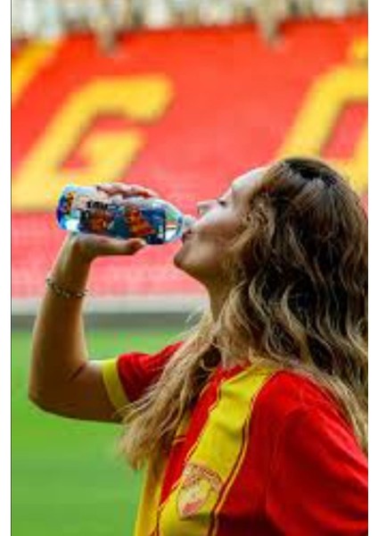 Su Göztepe Temalı Lisanslı Doğalkaynak Suyu 400 ml 24'lü Paket modelleri