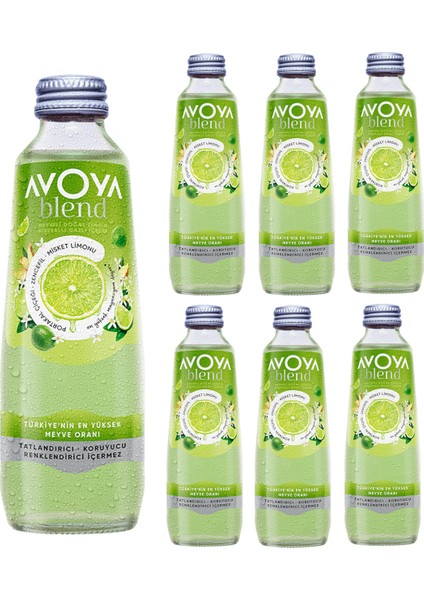 6'lı Blend Misket Limonu Maden Suyu 250 ml