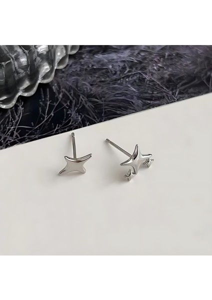 Sonsuz Parıltı - Minik Yıldız Çelik Küpe fırsatları