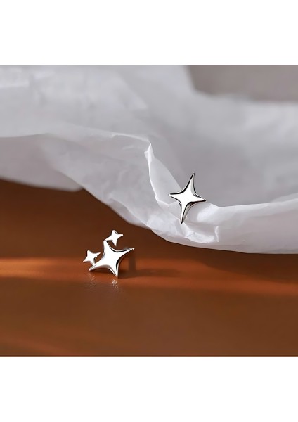 Sonsuz Parıltı - Minik Yıldız Çelik Küpe indirimleri