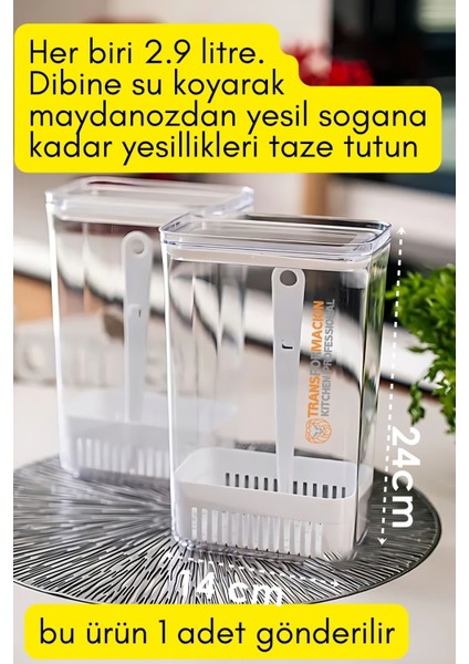 Yeşillik Saklama Kabı - Taze Yeşillik Için - Soğan Maydanoz Vb Yeşillik Saklama 721958 fırsatları