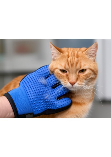 Tüy Toplama Eldiveni Kedi & Köpek Tüy Temizleyici, Masaj Etkili fiyatları