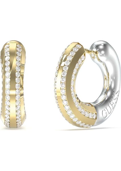 JGUJUBE05375JWYGRHTU Kadın Küpe