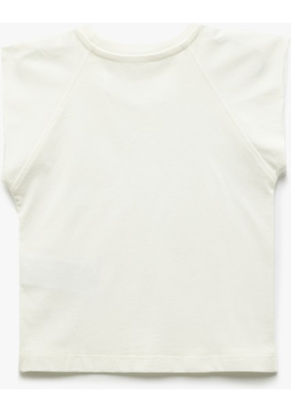 Basic Tişört Kısa Kollu Bisiklet Yaka Pamuklu fiyatları
