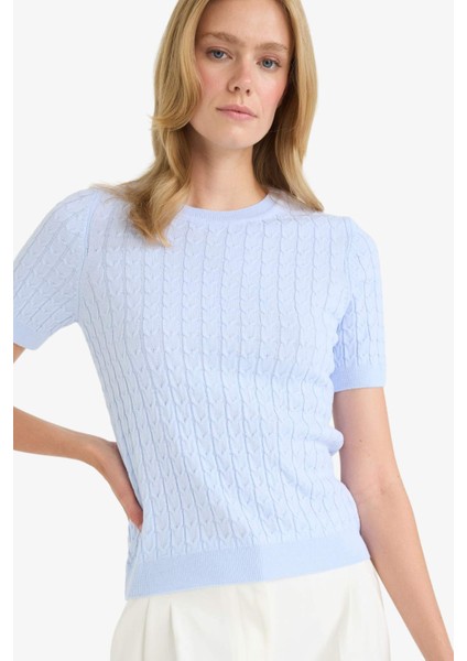 Regular Fit Bisiklet Yaka Kısa Kollu Triko Kazak D3306AX25AU