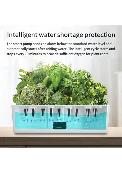 Su Pompası Akıllı Hidroponik Yetiştirme Sistemi Iç Mekan Bahçe Seti Ab Fişi (Yurt Dışından) fırsatları