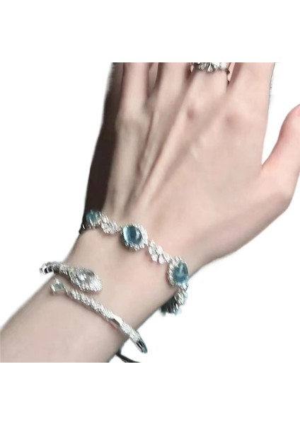 Akuamarin Yılan Zirkonyum Bilezik Yeni Stil Yüksek Değerli Niş Çok Yönlü Tasarım Kız Arkadaşlara Hediye (Yurt Dışından)