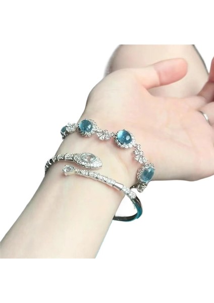 Akuamarin Yılan Zirkonyum Bilezik Yeni Stil Yüksek Değerli Niş Çok Yönlü Tasarım Kız Arkadaşlara Hediye (Yurt Dışından) fiyatları