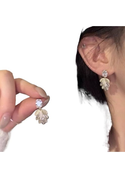 Tatlı ve Taze Kulak Kancası Küpeler (Yurt Dışından)