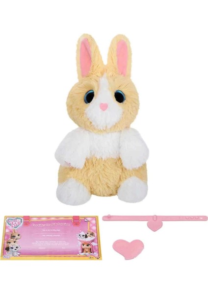 Gıochı Prezıosı Scruff A Luvs Klasik Seri Sürpriz Kutu fırsatları