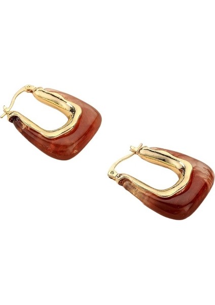 Retro Şeker Renkli Reçine Geometrik Kulak Klipsi Küpeler Avrupa ve Amerikan Moda Niş Basit Mizaç Net Ünlü Kadınlar Için Üst Düzey Küpeler (Yurt Dışından)