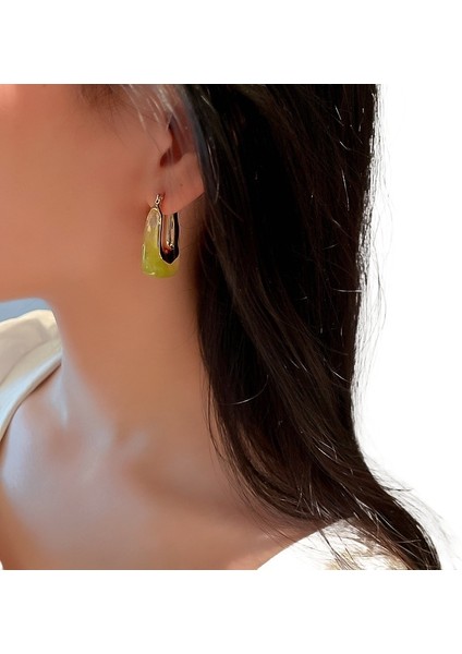 Retro Şeker Renkli Reçine Geometrik Kulak Klipsi Küpeler Avrupa ve Amerikan Moda Niş Basit Mizaç Net Ünlü Kadınlar Için Üst Düzey Küpeler (Yurt Dışından) fiyatları