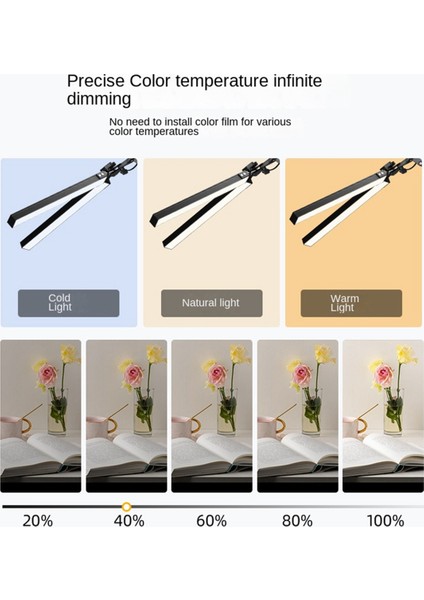 Kelepçeli Masa Lambası Çift Mimar Lambası 10 Parlaklık 3 Renk (Yurt Dışından)