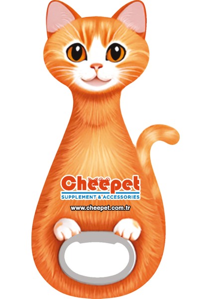 Kedi Magnet Şeklinde Açacak