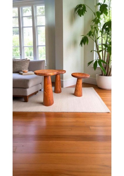 3’lü Ahşap Mantar Yan Sehpa Seti – Fındık Renk Modern Sehpa Takımı fiyatları