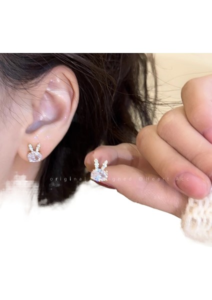 Şık ve Narin Saplama Küpeler (Yurt Dışından)