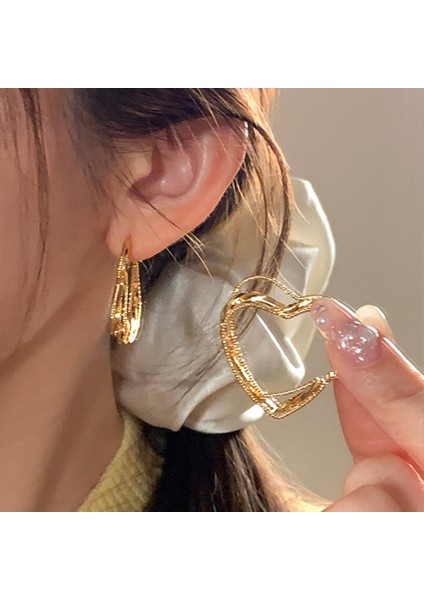 Düzensiz Küpeler Niş Trend Moda Kişilik Küpeler Kadın (Yurt Dışından) fiyatları