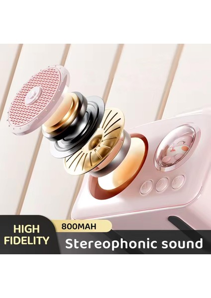 BR-220 Radyolu Bluetooth Hoparlör - Pembe fiyatları