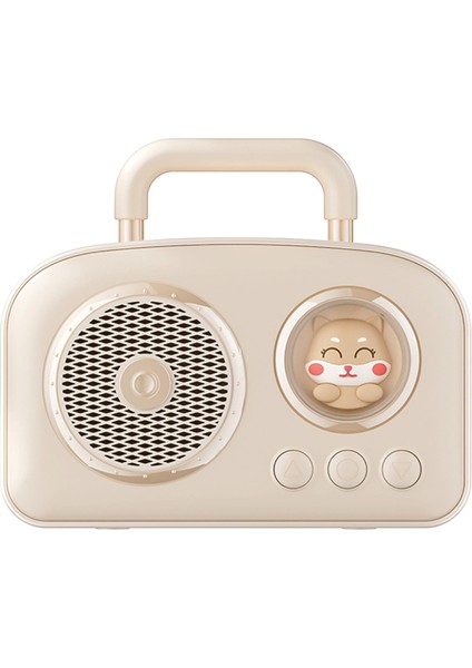 BR-220 Radyolu Bluetooth Hoparlör - Pudra