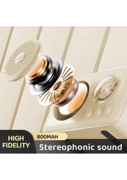 BR-220 Radyolu Bluetooth Hoparlör - Pudra fiyatları