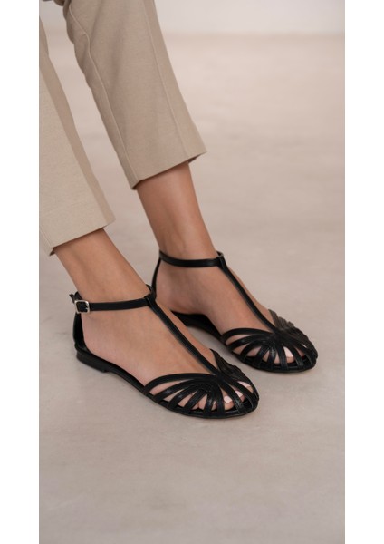 Wigan Siyah Babet fırsatları