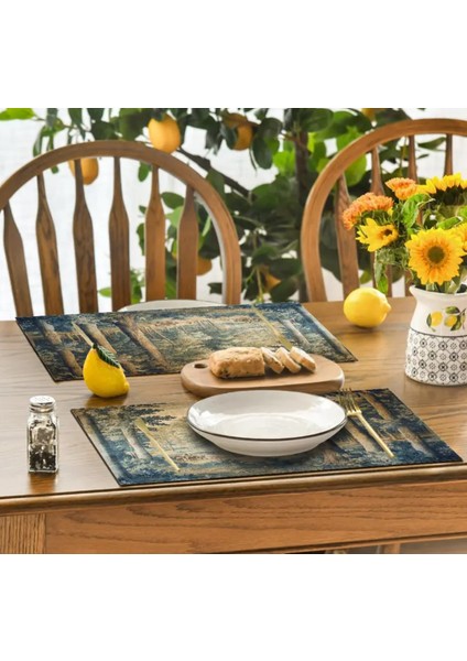 Vintage Amerikan Servisi 4'lü - Örtü modelleri