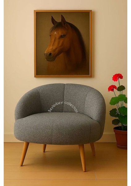 Papatya Berjer,çay Seti Tekli Koltuk Berjer (Salon, Balkon, Ofis) Dolgulu Krlent Hediyeli