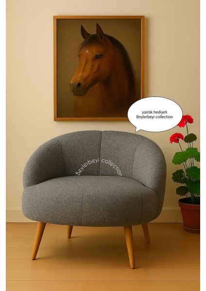 Papatya Berjer,çay Seti Tekli Koltuk Berjer (Salon, Balkon, Ofis) Dolgulu Krlent Hediyeli fiyatları