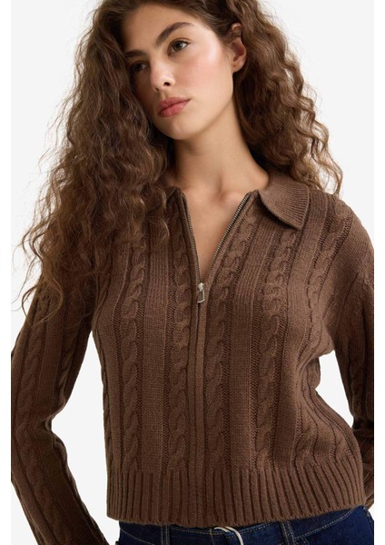 Regular Fit Polo Yaka Fermuarlı Triko Hırka A3331AX25WN