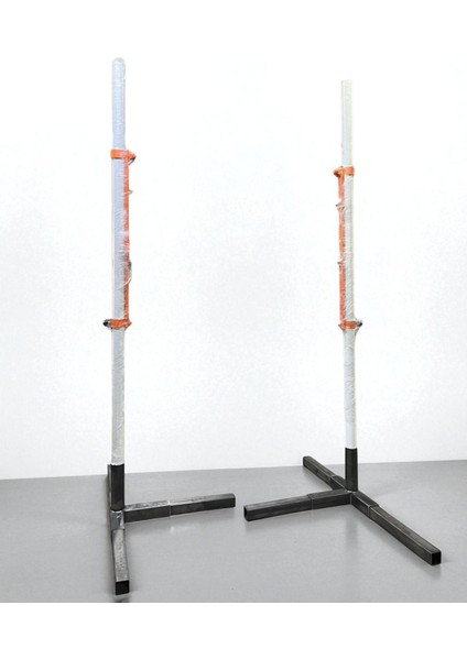 Profesyonel Plaj Voleybol Direği