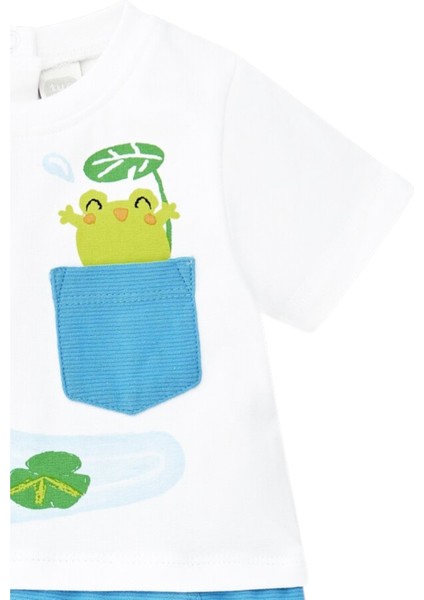 Erkek Bebek Tulum 11368648 modelleri