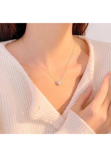 BINRONG0328 Gümüş Kalp Zirkon Kolye (Yurt Dışından) fiyatları